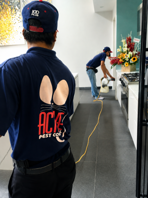 staff doing home pest control service